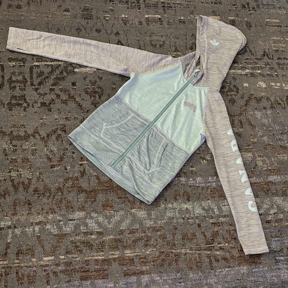 Roots Gray and Light Blue Hoodie